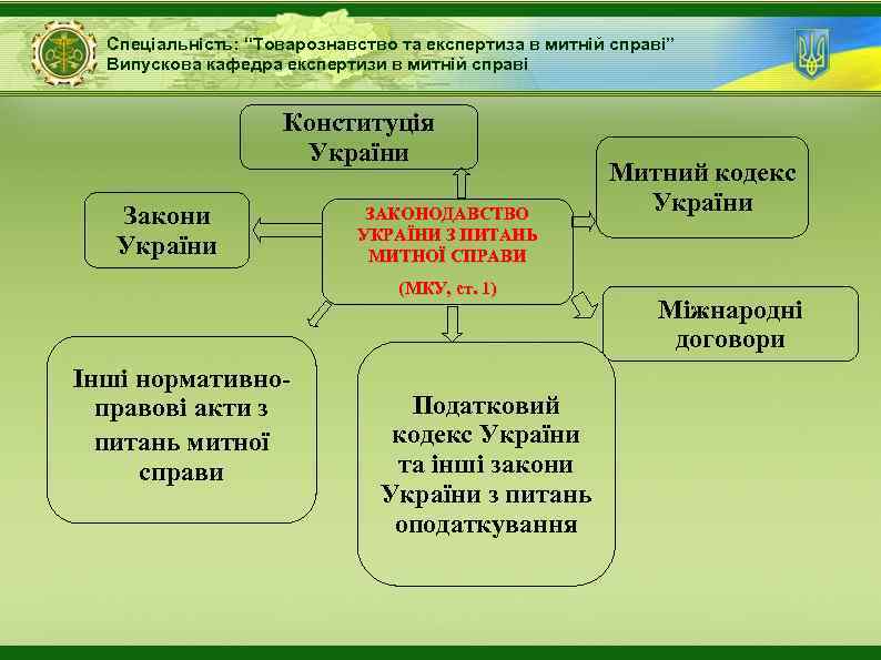 Спеціальність: “Товарознавство та експертиза в митній справі” Випускова кафедра експертизи в митній справі Конституція