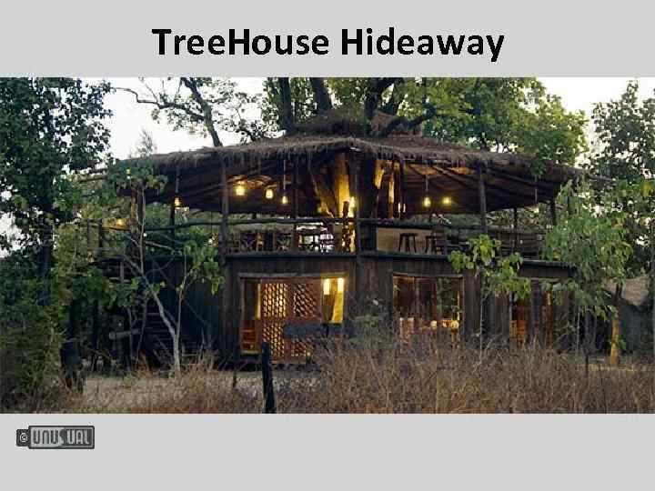 Tree. House Hideaway 