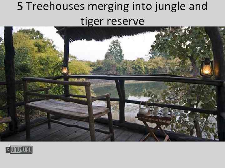 5 Treehouses merging into jungle and tiger reserve 