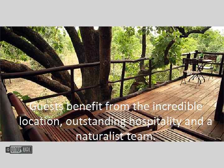 Guests benefit from the incredible location, outstanding hospitality and a naturalist team. 