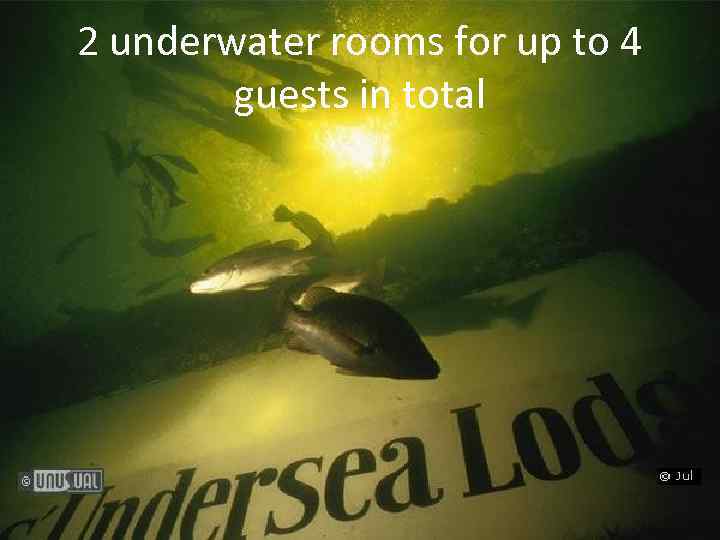 2 underwater rooms for up to 4 guests in total 