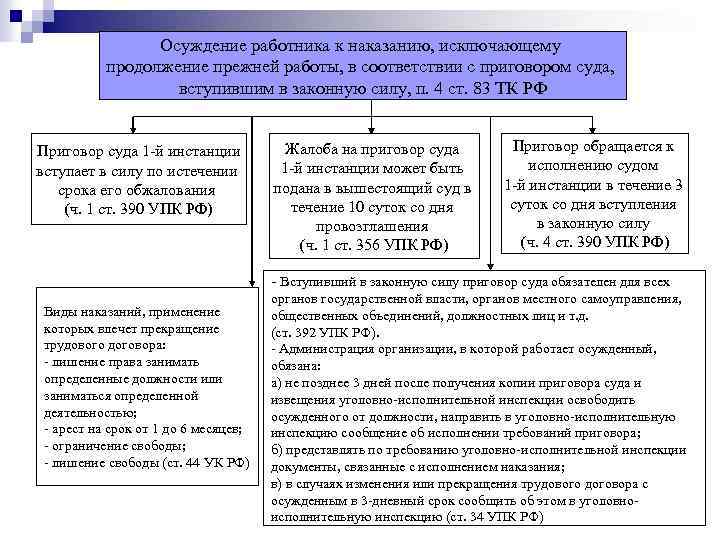 Основы трудовых правоотношений сложный план