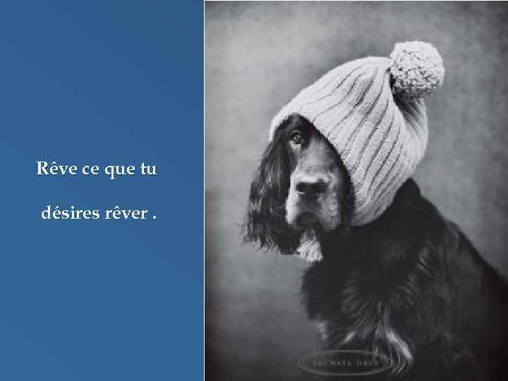 Rêve ce que tu désires rêver. 