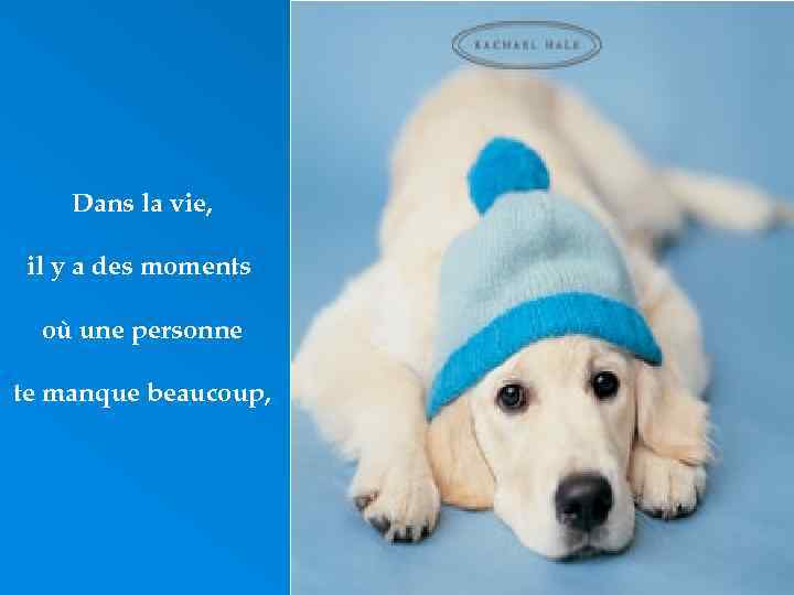 Dans la vie, il y a des moments où une personne te manque beaucoup,