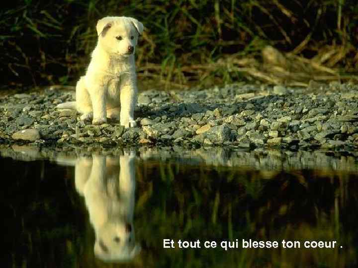 Et tout ce qui blesse ton coeur. 