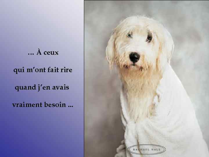 … À ceux qui m’ont fait rire quand j’en avais vraiment besoin. . .