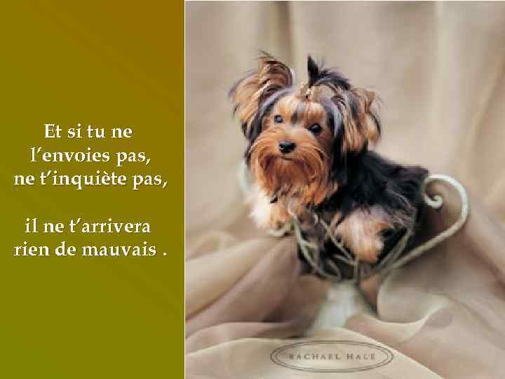 Et si tu ne l’envoies pas, ne t’inquiète pas, il ne t’arrivera rien de