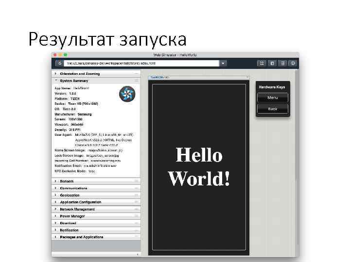 Результат запуска 