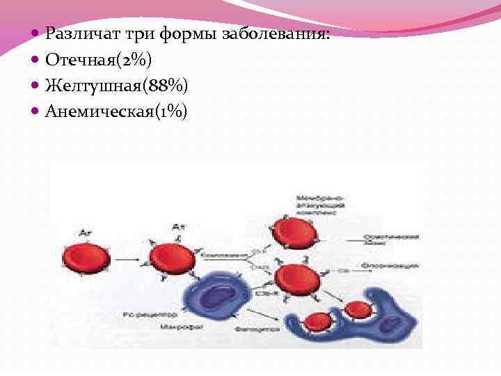  Различат три формы заболевания: Отечная(2%) Желтушная(88%) Анемическая(1%) 