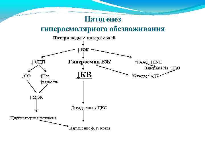 Патогенез гиперосмолярного обезвоживания Потери воды > потери солей ↓ ВЖ ↓ ОЦП ↓СО ↑Нct