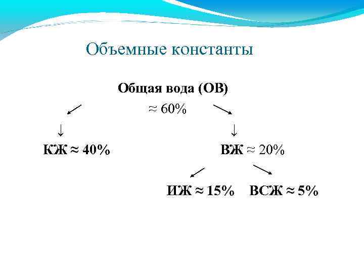 Объемные константы Общая вода (ОВ) ≈ 60% ↓ КЖ ≈ 40% ↓ ВЖ ≈