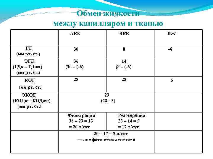 Обмен жидкости между капилляром и тканью АКК ГД (мм рт. ст. ) ЭГД (ГДк