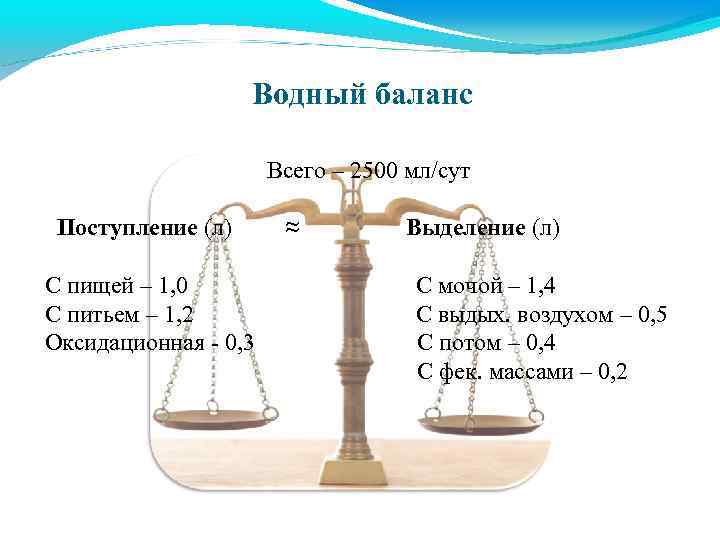 Водный баланс Всего – 2500 мл/сут Поступление (л) С пищей – 1, 0 С