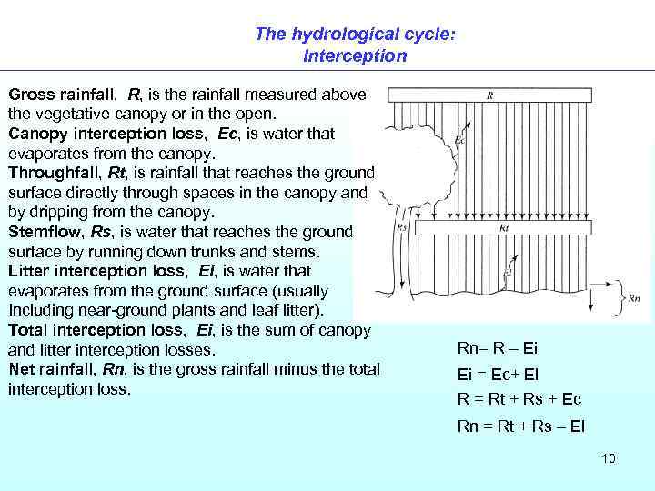 The hydrological cycle: Interception Gross rainfall, R, is the rainfall measured above the vegetative