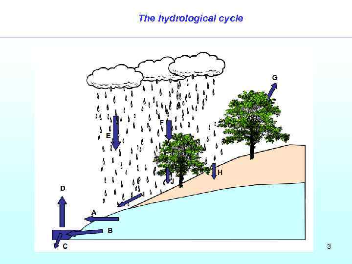 The hydrological cycle 3 