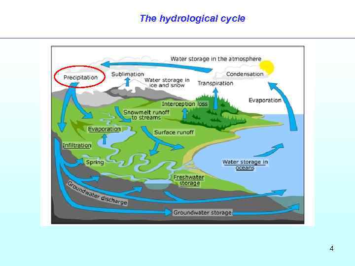 The hydrological cycle 4 