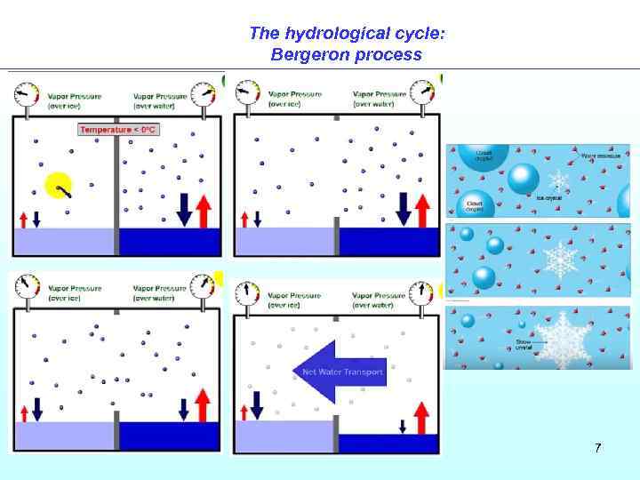 The hydrological cycle: Bergeron process 7 