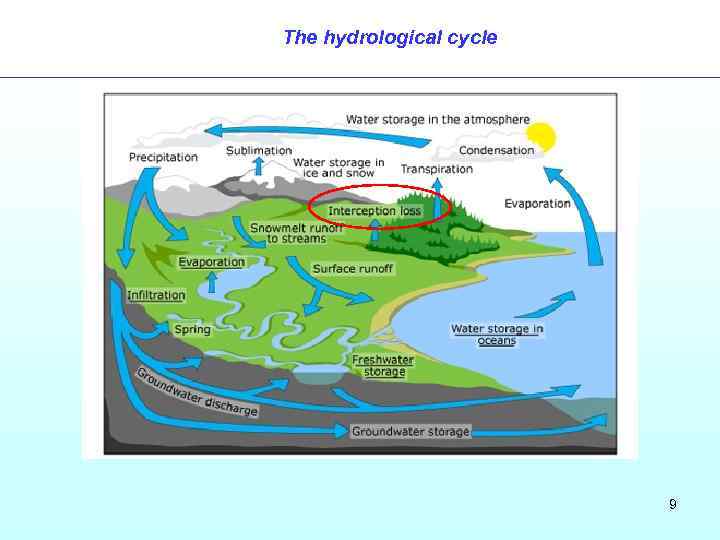 The hydrological cycle 9 