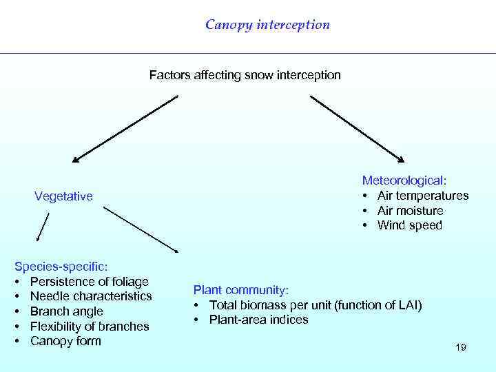 Canopy interception Factors affecting snow interception Vegetative Species-specific: • Persistence of foliage • Needle