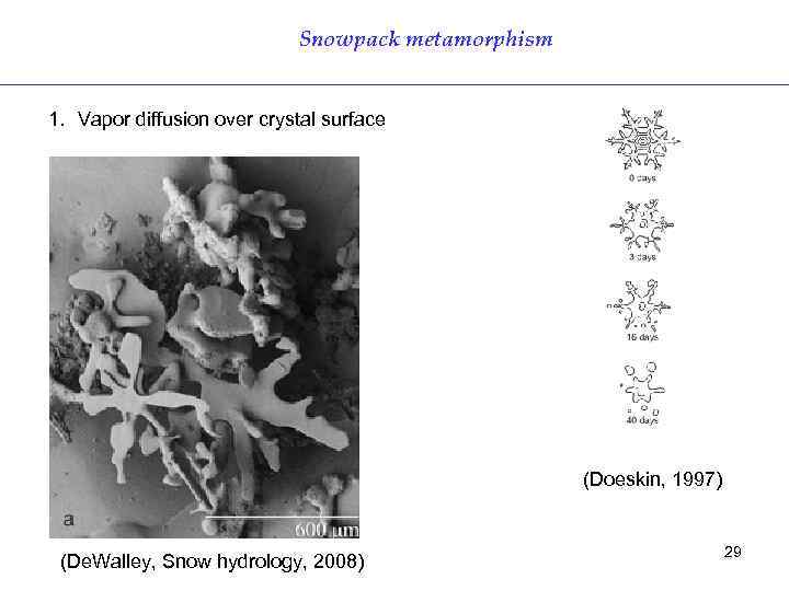 Snowpack metamorphism 1. Vapor diffusion over crystal surface (Doeskin, 1997) (De. Walley, Snow hydrology,