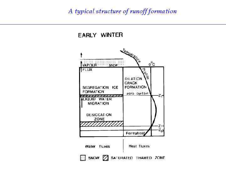 A typical structure of runoff formation 