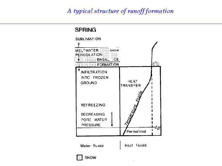 A typical structure of runoff formation 