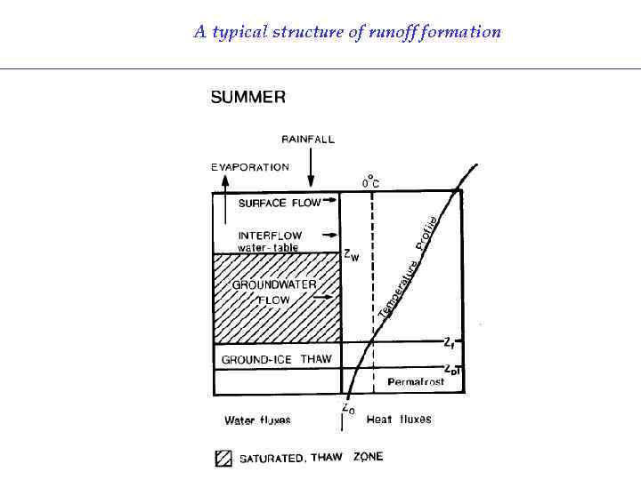 A typical structure of runoff formation 