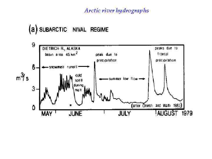 Arctic river hydrographs 