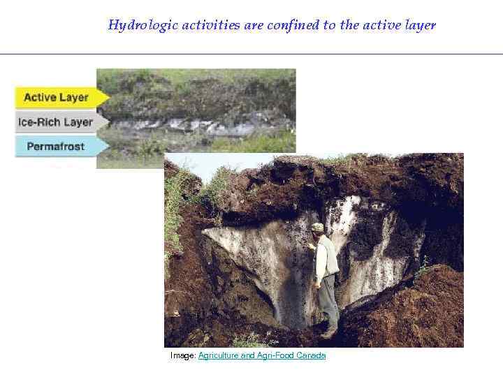 Hydrologic activities are confined to the active layer Image: Agriculture and Agri-Food Canada 