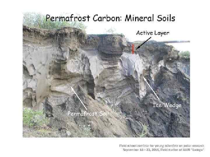 Field school-seminar for young scientists on polar research September 18— 23, 2016, Field station