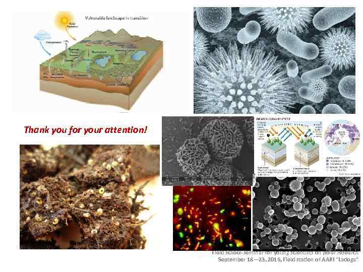 Thank you for your attention! Field school-seminar for young scientists on polar research September