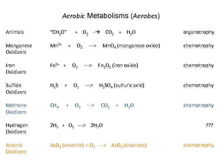 Aerobic Metabolisms (Aerobes) Animals “CH 2 O” + O 2 - CO 2 +