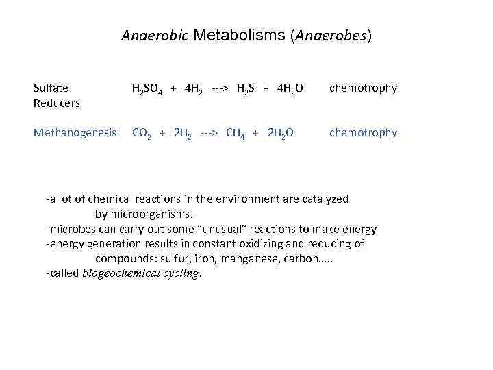 Anaerobic Metabolisms (Anaerobes) Sulfate Reducers H 2 SO 4 + 4 H 2 --->