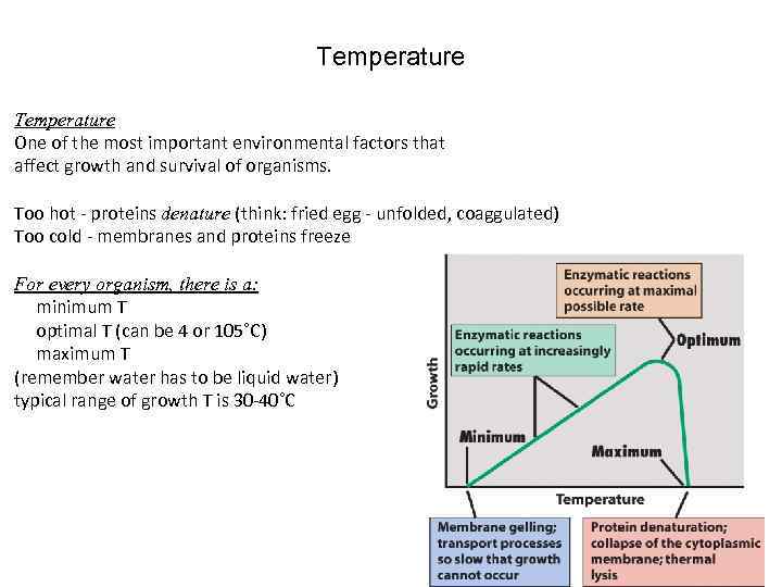 Temperature One of the most important environmental factors that affect growth and survival of