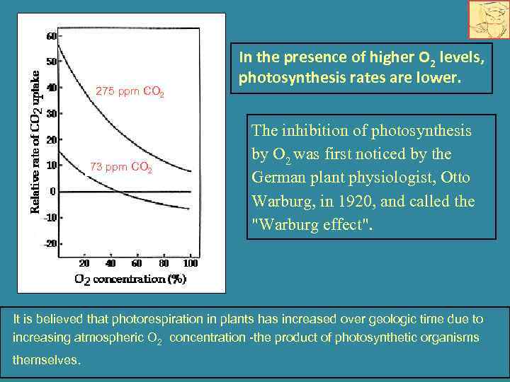 275 ppm CO 2 73 ppm CO 2 In the presence of higher O