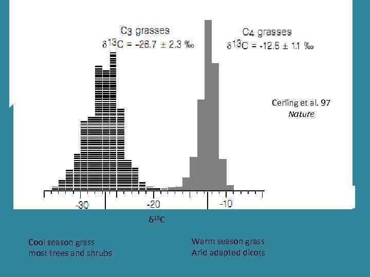 Cerling et al. 97 Nature δ 13 C Cool season grass most trees and