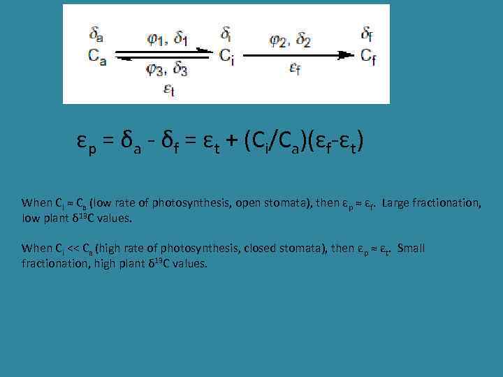 εp = δa - δf = εt + (Ci/Ca)(εf-εt) When Ci ≈ Ca (low