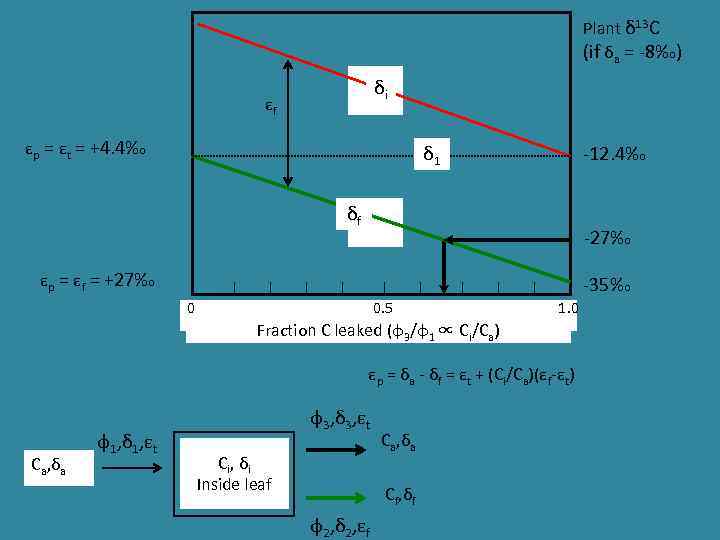 Plant δ 13 C (if δa = -8‰) δi εf εp = εt =