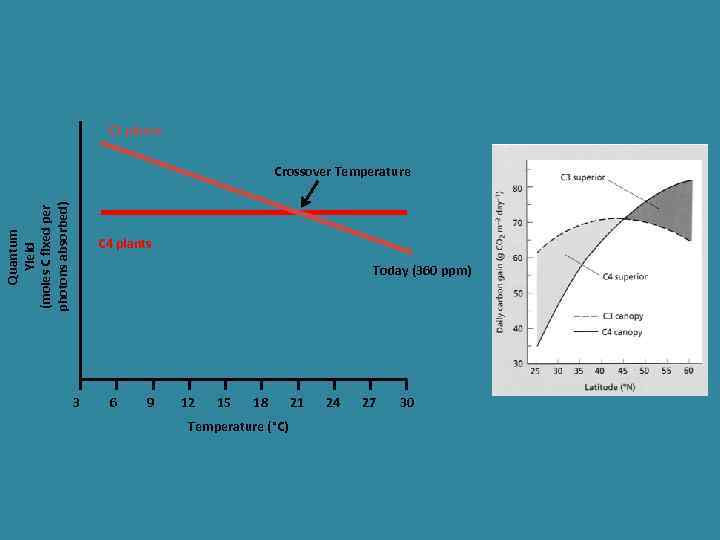 C 3 plants Quantum Yield (moles C fixed per photons absorbed) Crossover Temperature C