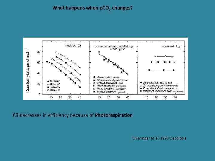 What happens when p. CO 2 changes? C 3 decreases in efficiency because of