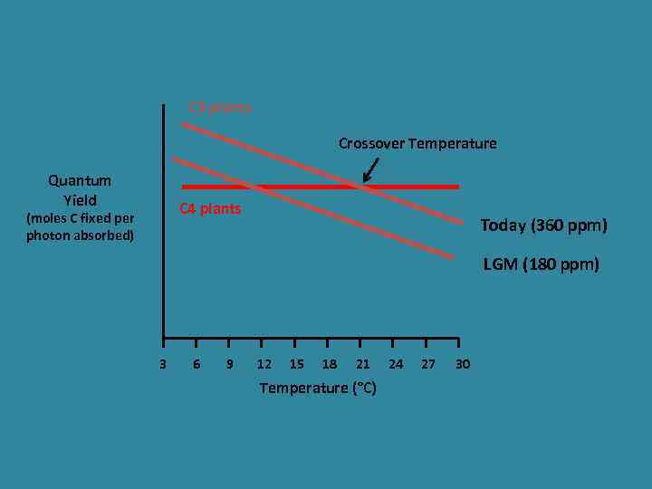 C 3 plants Crossover Temperature Quantum Yield C 4 plants (moles C fixed per