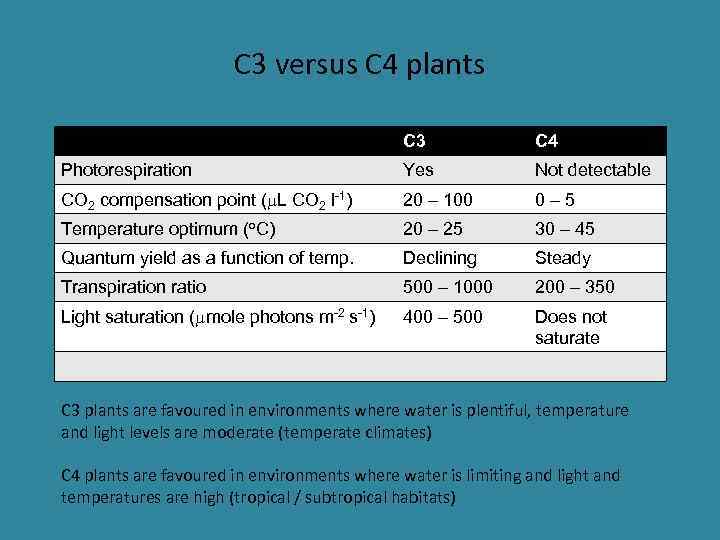 C 3 versus C 4 plants C 3 C 4 Photorespiration Yes Not detectable