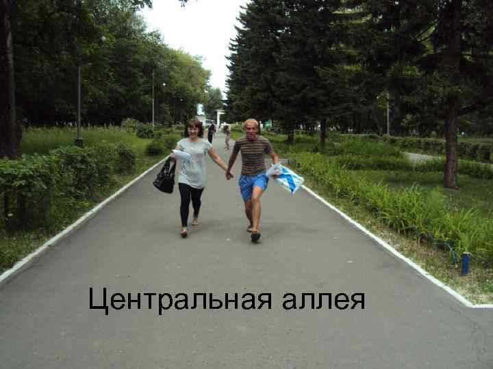 Центральная аллея 