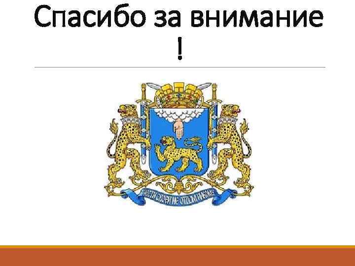 Спасибо за внимание ! 