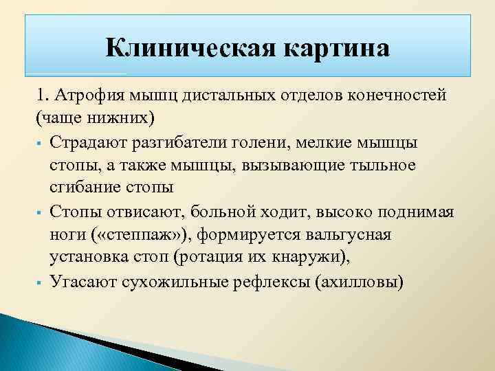 Клиническая картина 1. Атрофия мышц дистальных отделов конечностей (чаще нижних) § Страдают разгибатели голени,