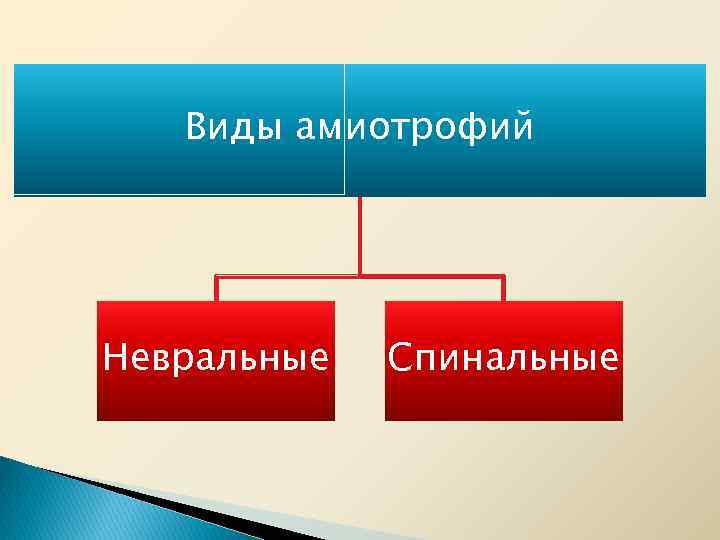 Виды амиотрофий Невральные Спинальные 