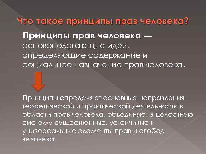 Что такое принципы прав человека? Принципы прав человека — основополагающие идеи, определяющие содержание и