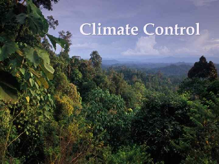Climate Control 