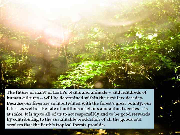 The future of many of Earth's plants and animals -- and hundreds of human