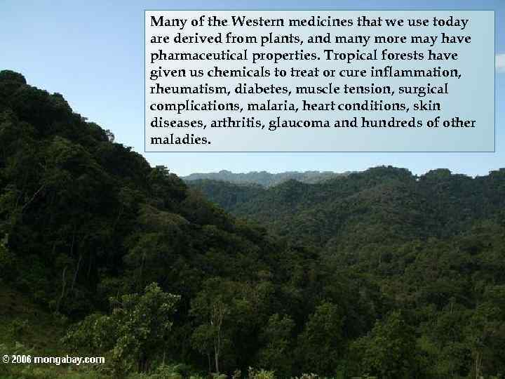Many of the Western medicines that we use today are derived from plants, and